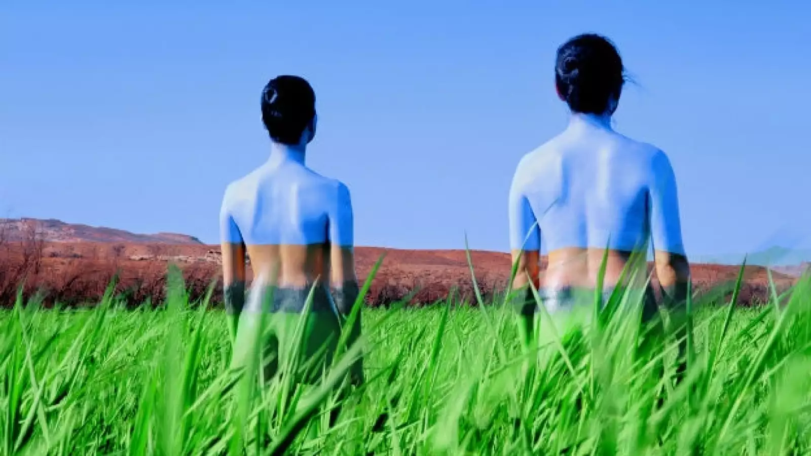 body, camuflaje 1 