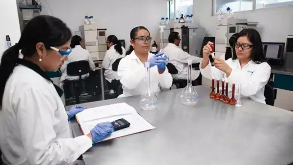 Esta farmacéutica mexicana nació con el objetivo de innovar y crear patentes, por eso cuenta con un departamento de investigación y desarrollo.