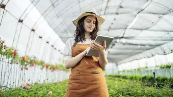 Así buscan reducir el fracaso de los emprendimientos con inversión desde la universidad