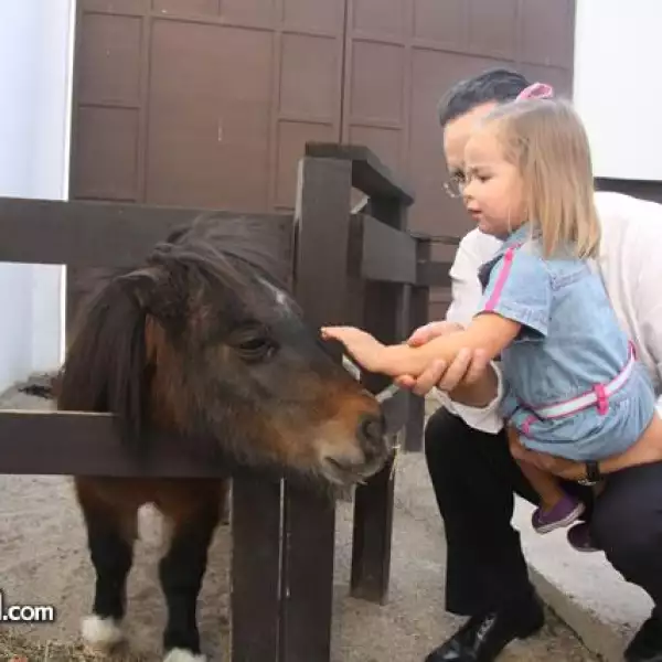 Cumplea?Patricio Goyeneche