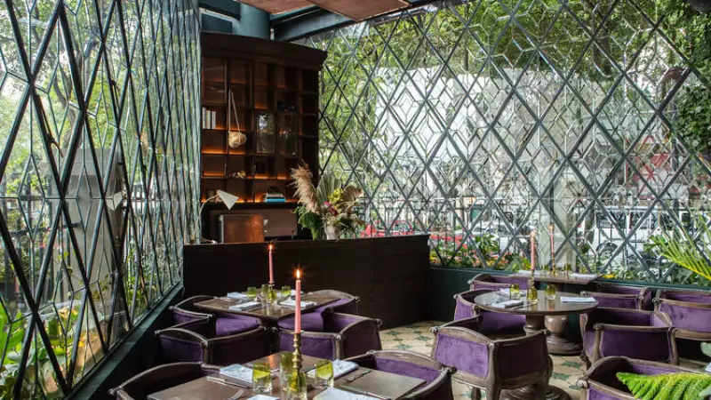 Senses Charity Event