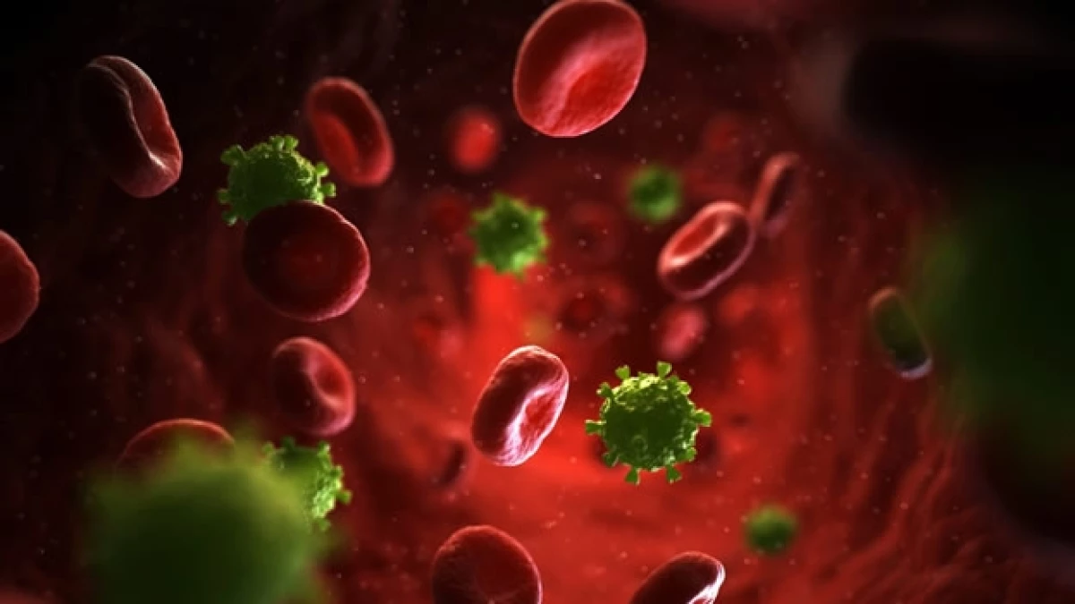 Una mirada a como ataca el virus del VIH a la sangre del infectado