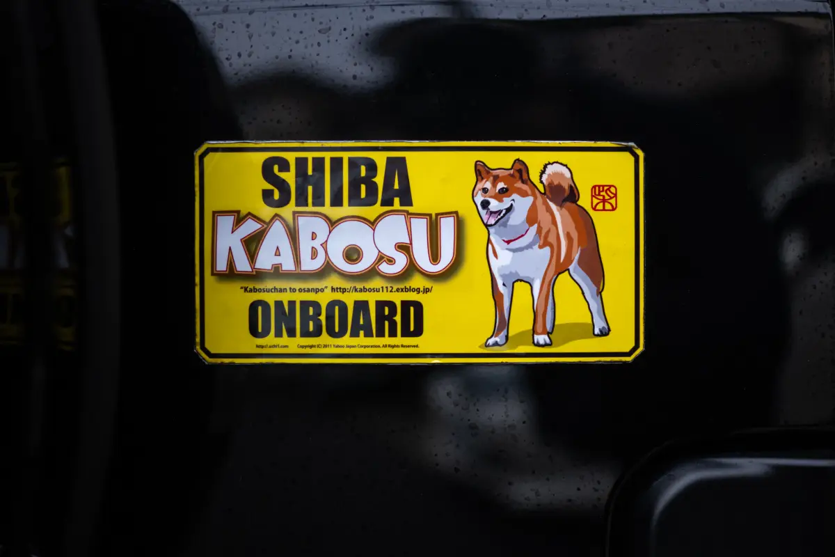 muere la perrita kabosu 