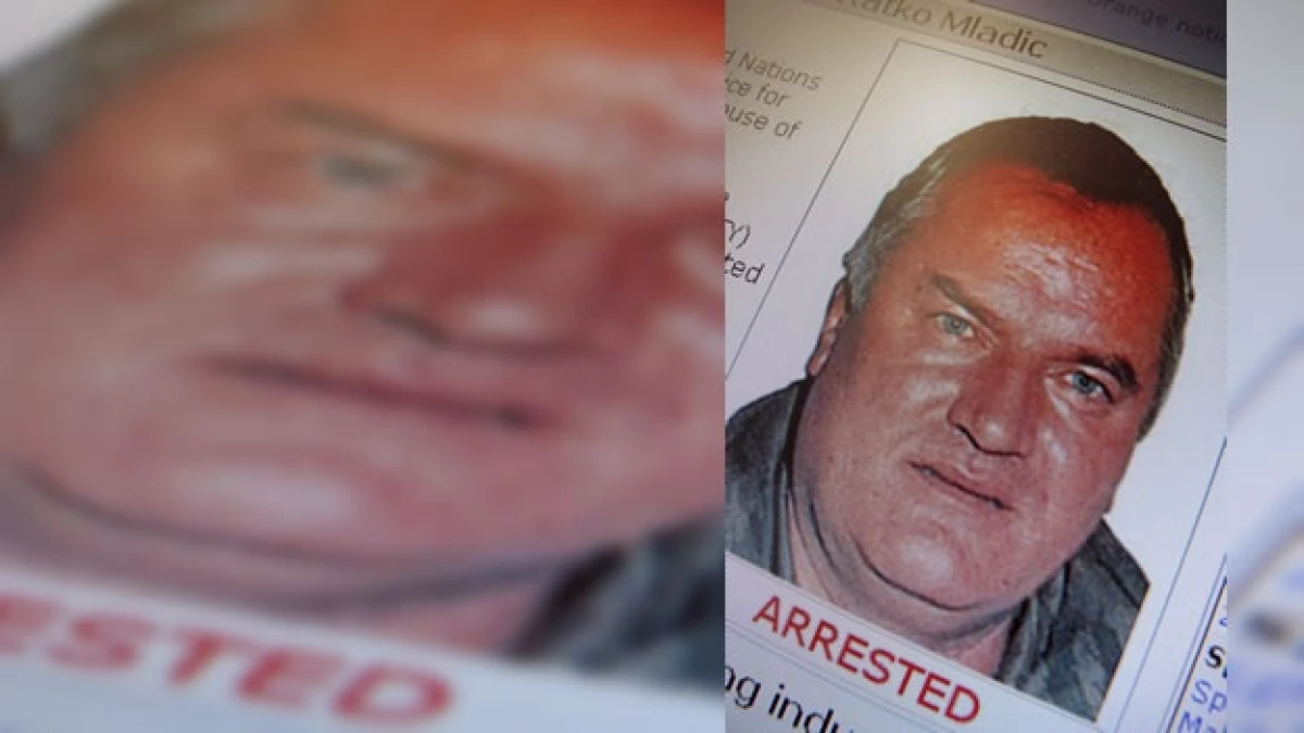 identificacion de mladic