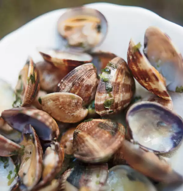 Almejas de la Cantabria.