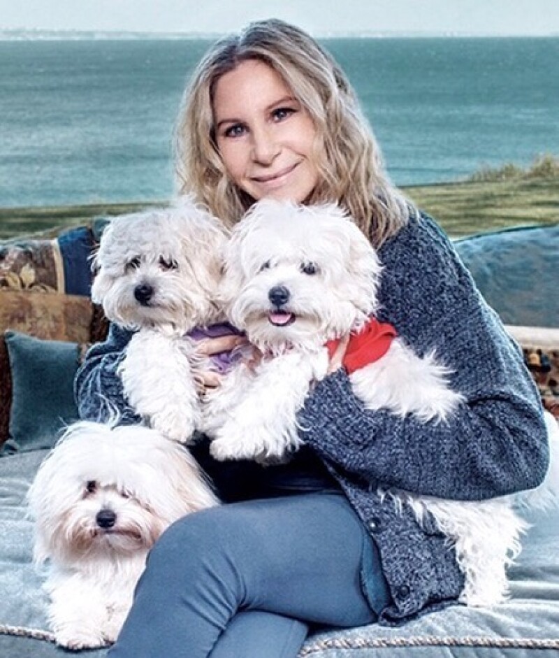 Barbra Streisand