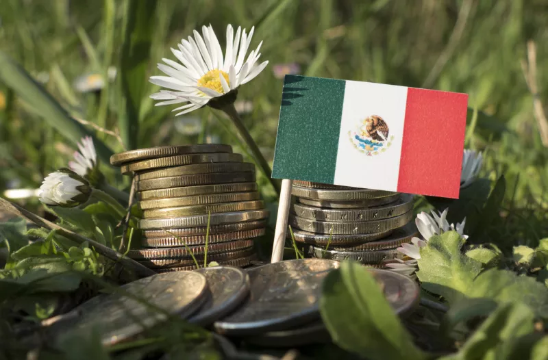 Mexican flag with stack of money coins with grass and flowers