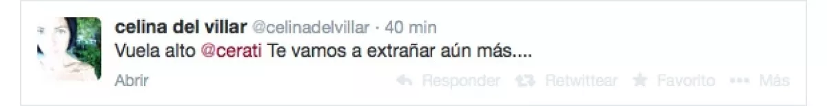 Celina del Villar, socialité.