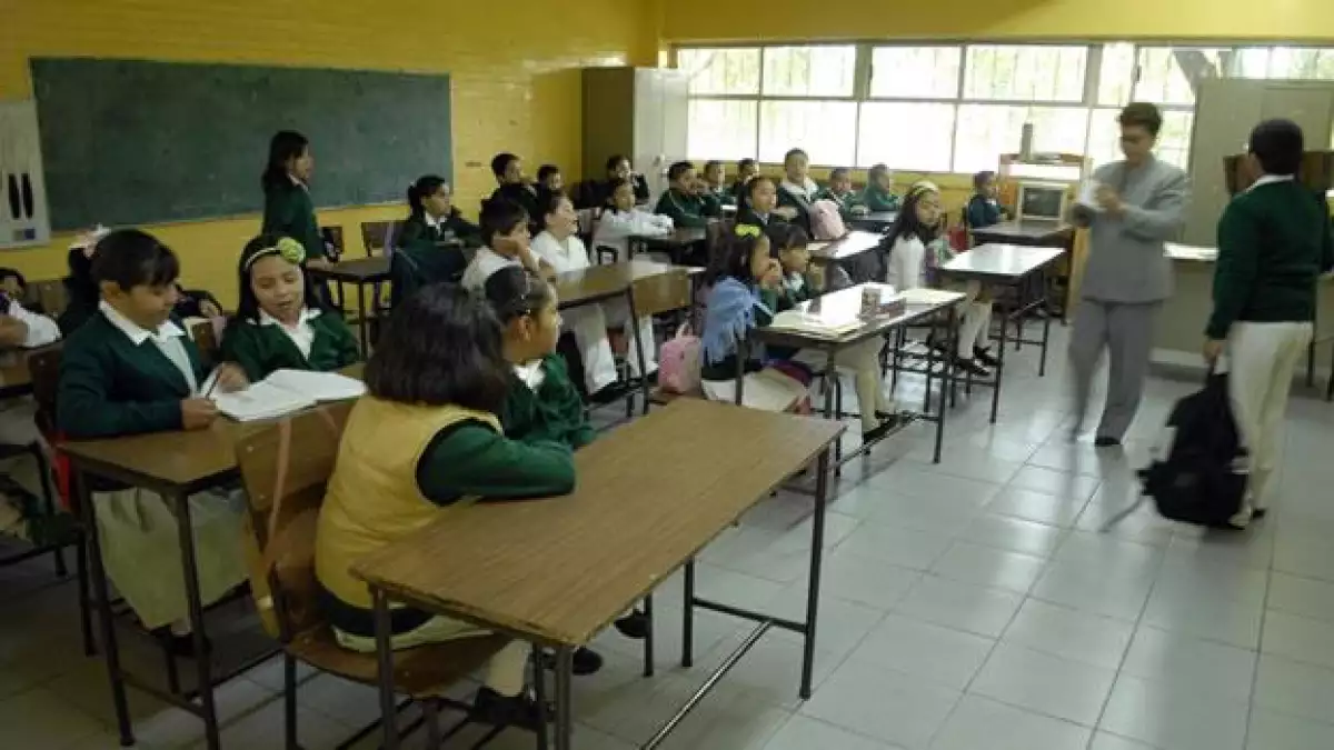 primaria