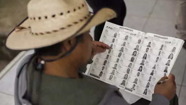 Elecciones federales