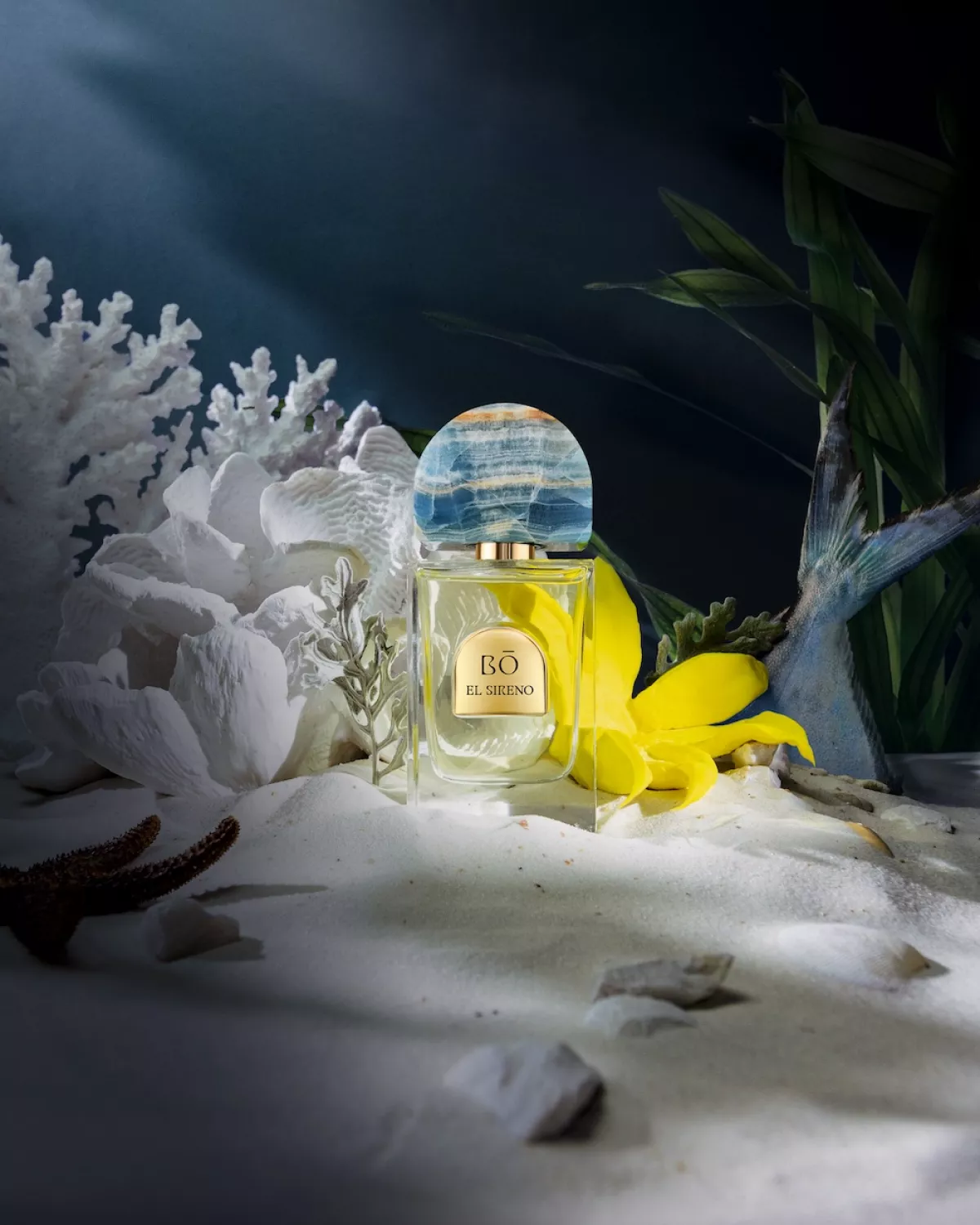 perfume house of bo 