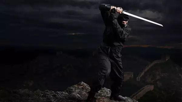 Ninja