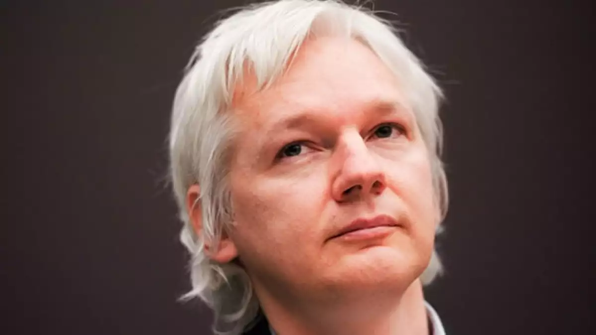 assange wikileaks
