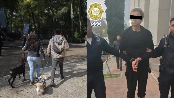 Dos personas paseando a sus perros en el Parque España (izquierda) y un sujeto detenido por envenenar perros (derecha).
