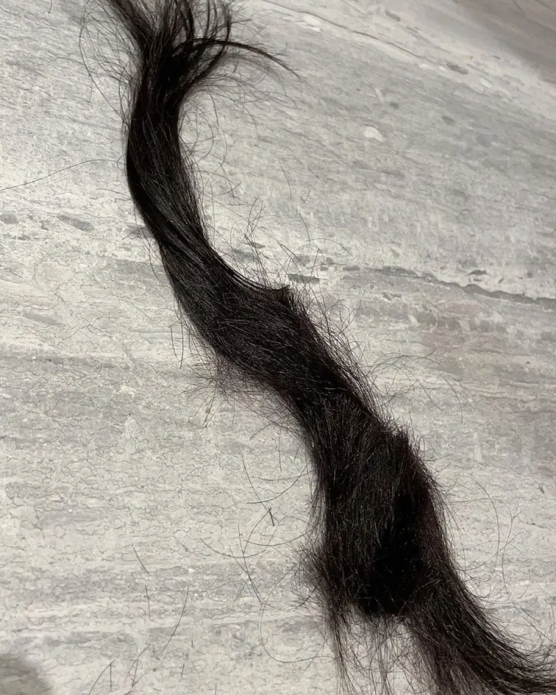 pelo-kourtney.jpeg