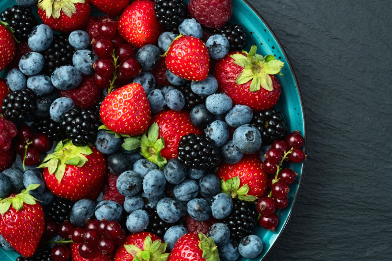 Berries Paradise fortalece exportaciones a Asia y Europa sin dejar de lado a EU y Canadá