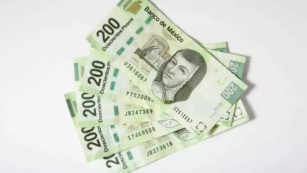 Cetes dan menos rendimientos en la última semana de enero: cuánto se gana al invertir 