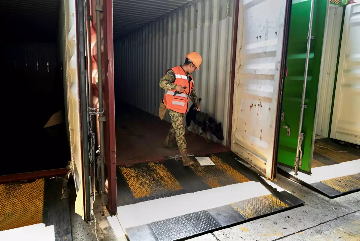El huachicol fiscal genera daños al erario por más de 600,000 millones de pesos