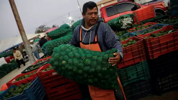 (Vendedores de aguacate)