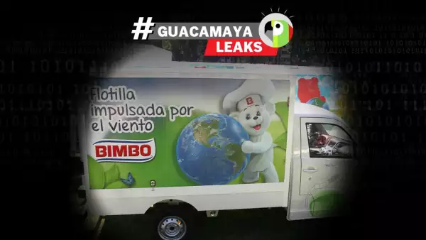 Guacamayaleaks bimbo