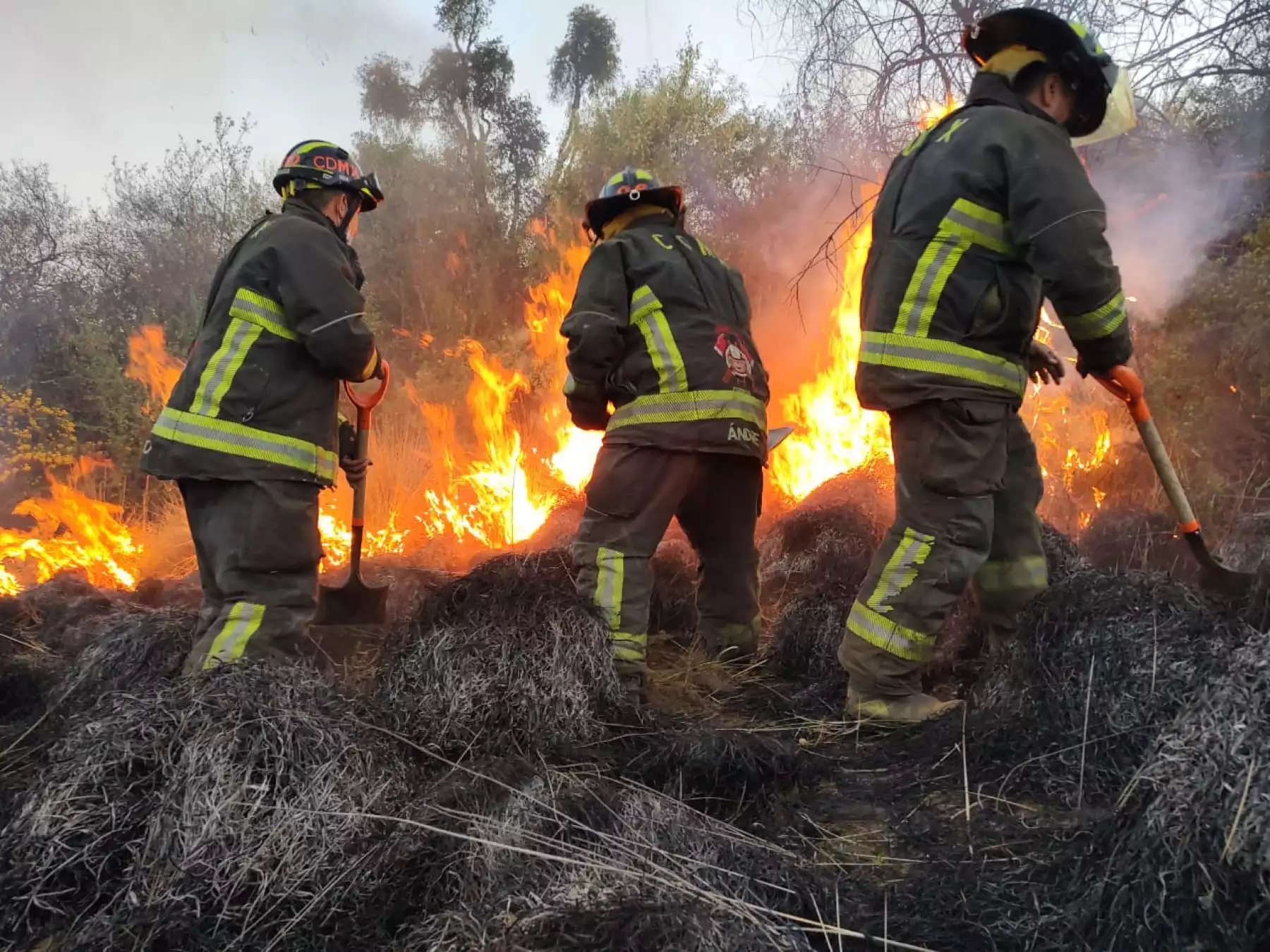 Incendio Tlalpan.jpg