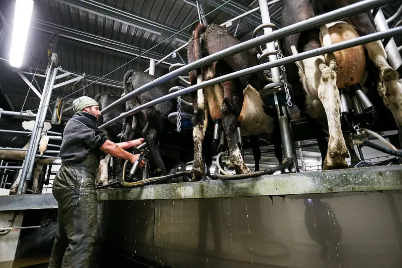 Las importaciones de leche en polvo en 2015 fueron de 259,479 toneladas. 
