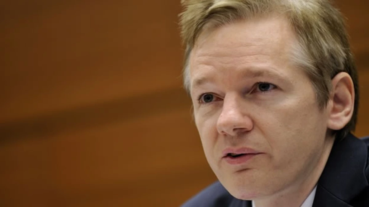 Wikileaks informe