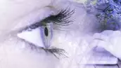 IA