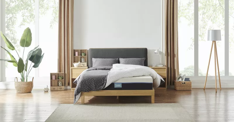 Life and Style Luuna.jpg