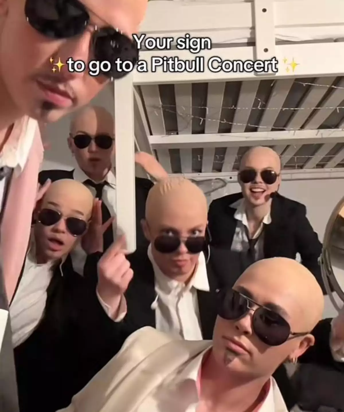 mujeres con disfraz de pitbull