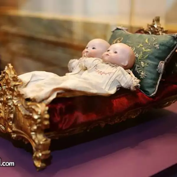 Libro Daniel Liebsohn