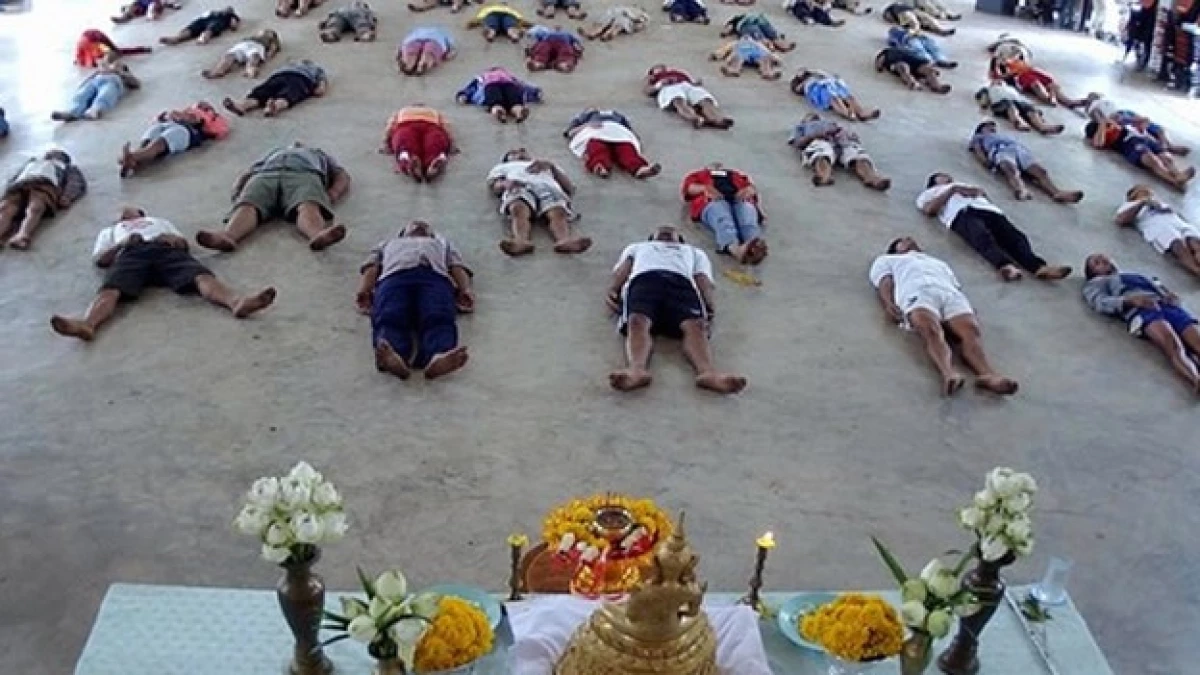 tailandia-rehabilitacion