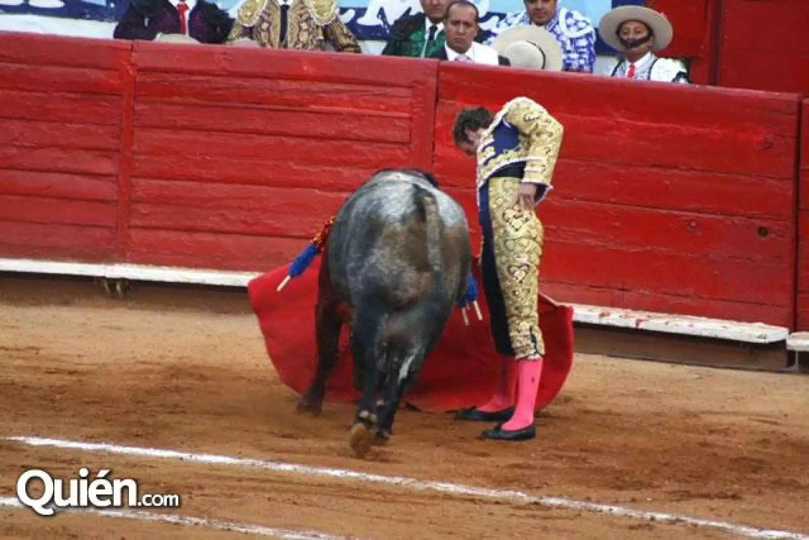 toros 1 fecha