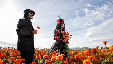 Festival de las Almas Jalisco 2026