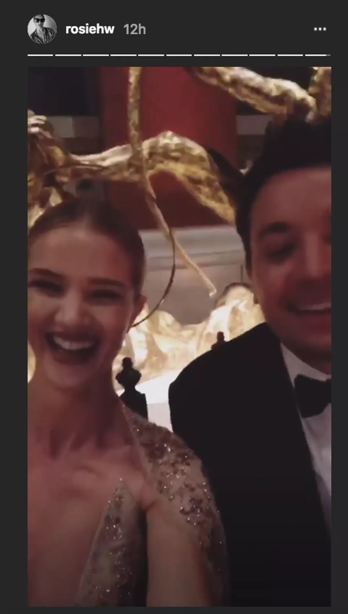 rosie h-instagram-met