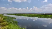 Un cuerpo de agua rodeado de vegetación verde a cielo abierto con nubes.
