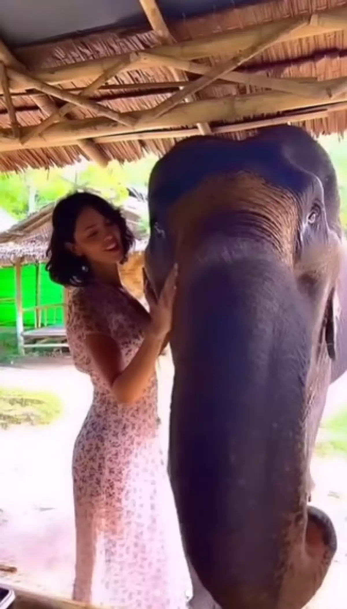 eiza-gonzalez-elefante