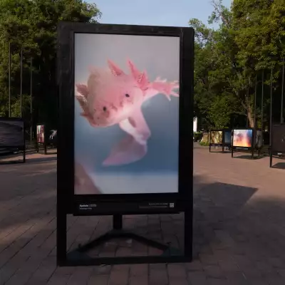 Todo sobre ‘El recuerdo del agua’, la expo fotográfica imperdible en el Bosque de Chapultepec