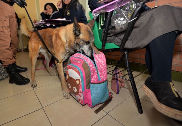 mochila segura