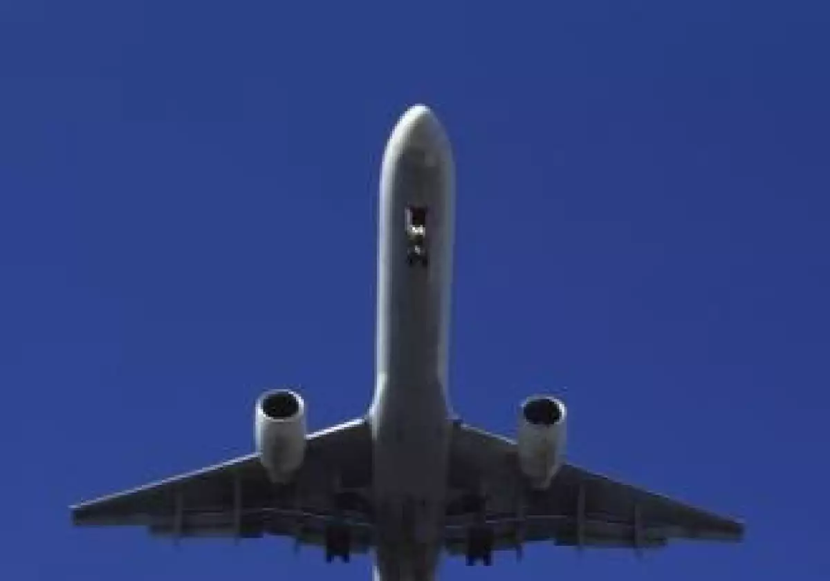 Avion