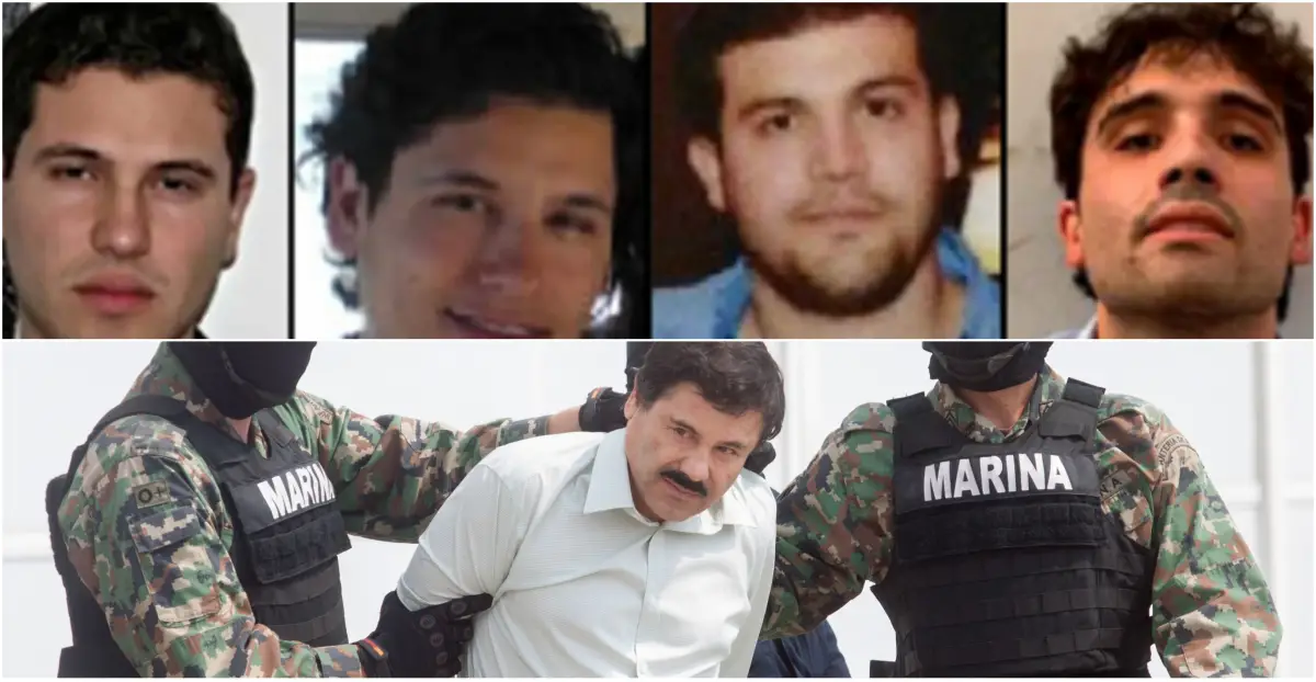 chapitos.jpg