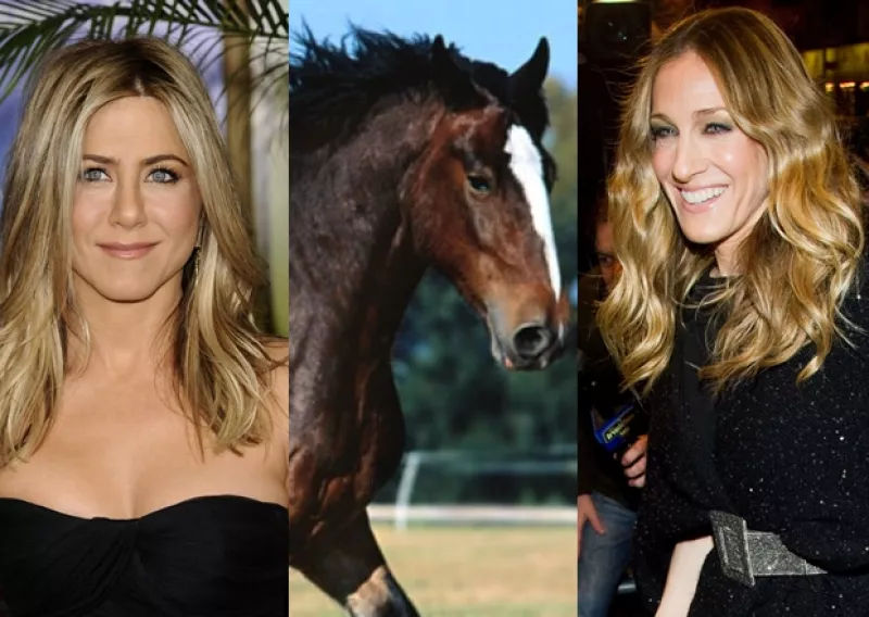 Estas celebridades están dispuestas a todo tipo de excentricidades con tal de mantener su juventud.