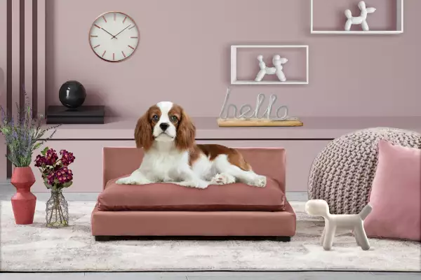 mobiliario de perritos