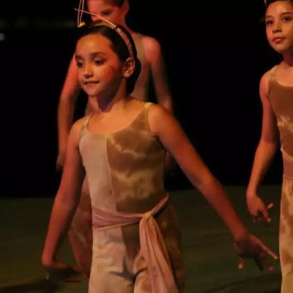 Festival de Danza Proart