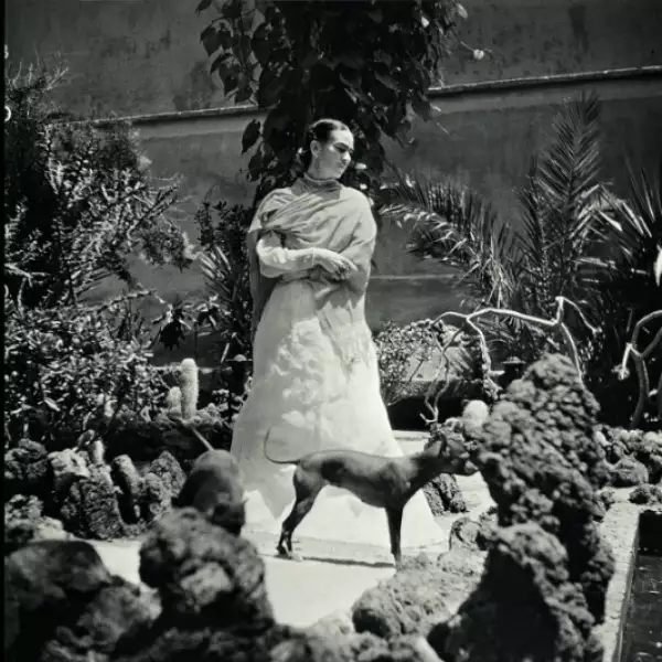 frida kahlo