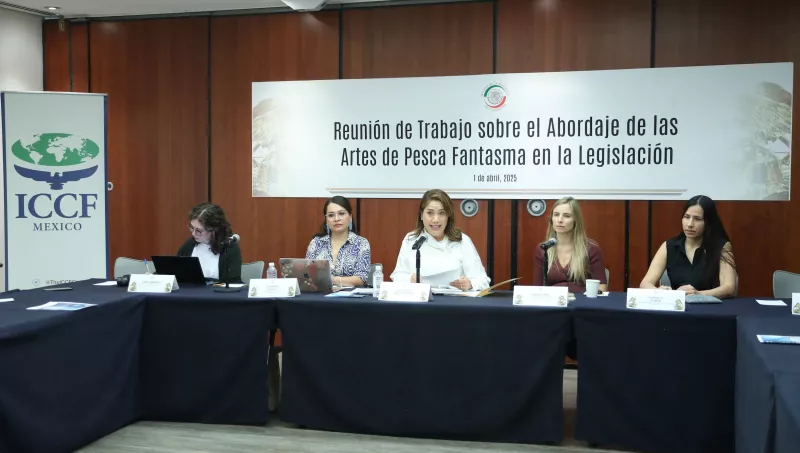 senado redes de pesca fantasma