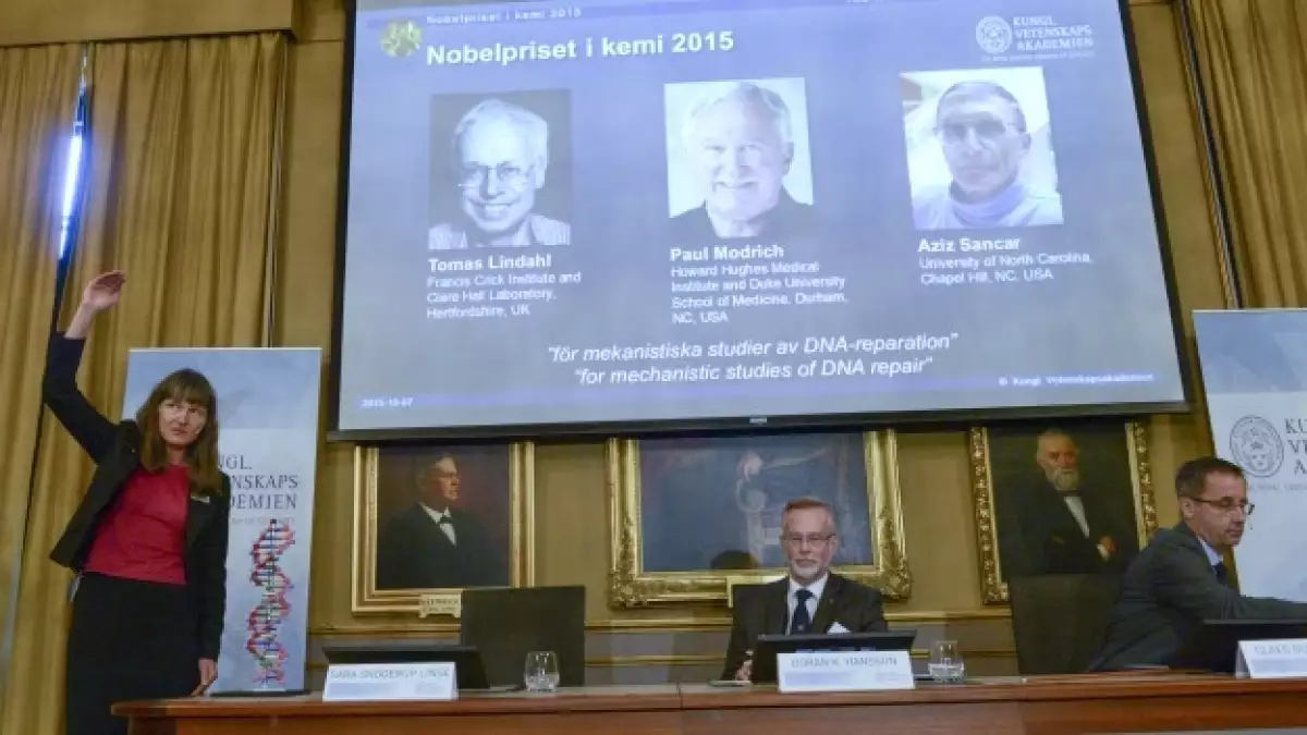 Nobel Quimica Tomas Lindahl Paul Modrich Aziz Sancar