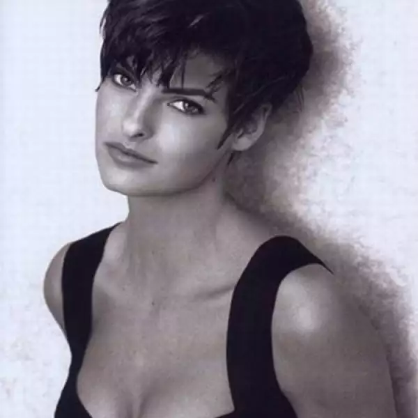 Pelo corto, degrafilado y oscuro. Muy jovial.