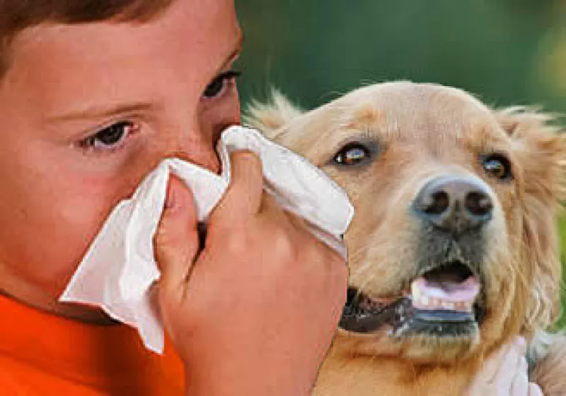 Los niños son los más susceptibles de contagiarse por el contacto con mascotas mal cuidadas.  (Foto: FOTOARTE: Jorge Márquez)