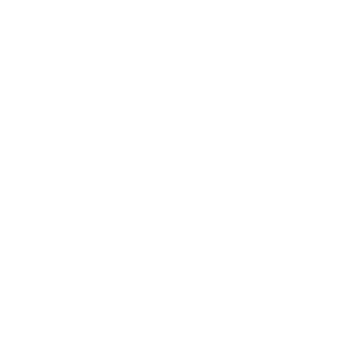 Modelo Logo